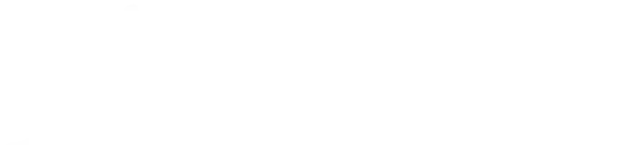 بیت الزائر